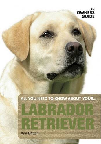 Stock image for Labrador Retriever: An Owner's Guide (All You Need to Know About Yr) for sale by Bahamut Media