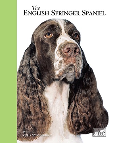 Beispielbild fr English Springer Spaniel - Best of Breed zum Verkauf von WorldofBooks