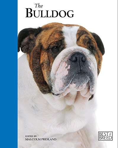 Beispielbild fr Bulldog - Best of Breed zum Verkauf von WorldofBooks