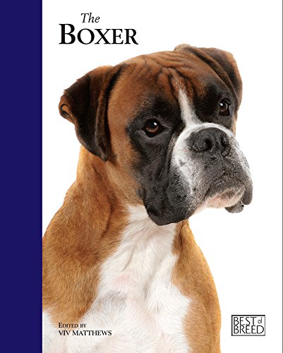 Beispielbild fr Boxer - Best of Breed zum Verkauf von WorldofBooks
