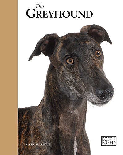 Beispielbild fr The Retired Racing Greyhound zum Verkauf von Better World Books