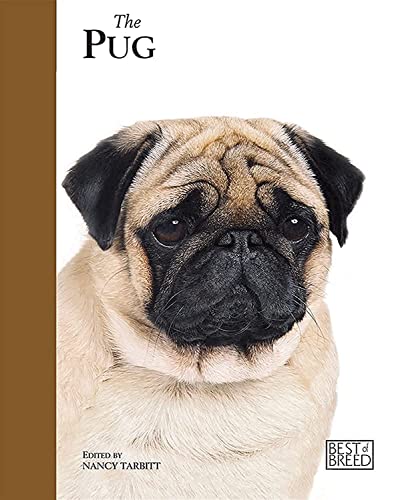 Stock image for Pug - Best of Breed for sale by WorldofBooks