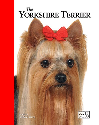 Stock image for The Yorkshire Terrier for sale by Better World Books: West