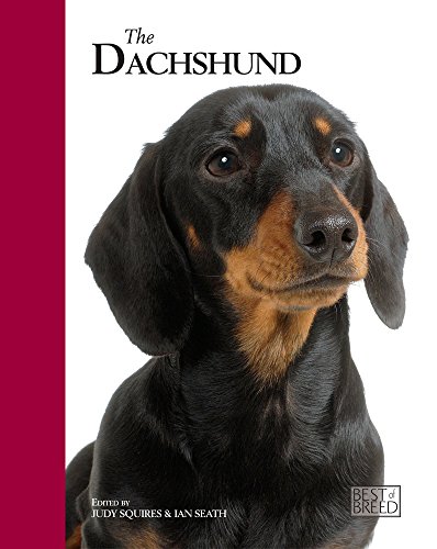 The Dachshund (Best Of Breed) (9781906305451) by Squires, Judy; Seath, Ian