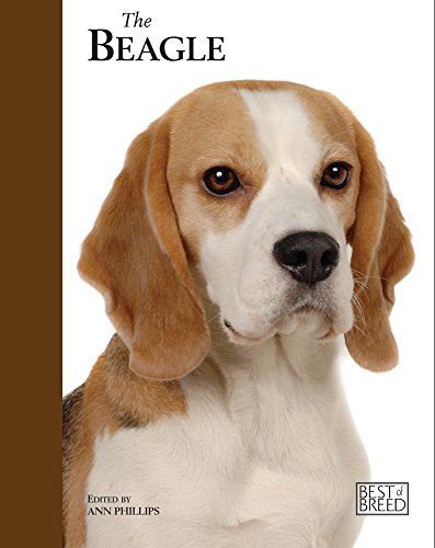 Stock image for Beagle - Best of Breed for sale by WorldofBooks