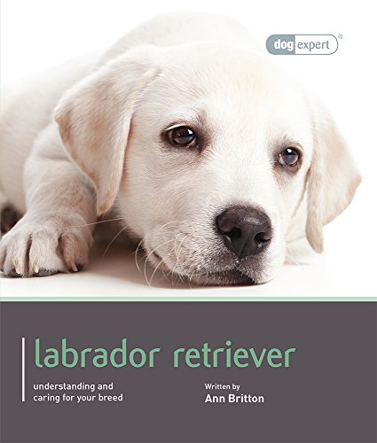 Beispielbild fr Labrador Retriever (Dog Expert) zum Verkauf von AwesomeBooks