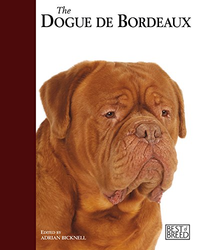 9781906305598: The Dogue De Bordeaux. (Best Of Breed)