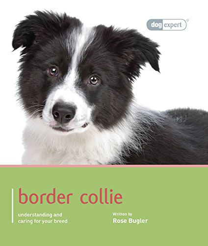 Beispielbild fr Border Collie - Dog Expert zum Verkauf von WorldofBooks