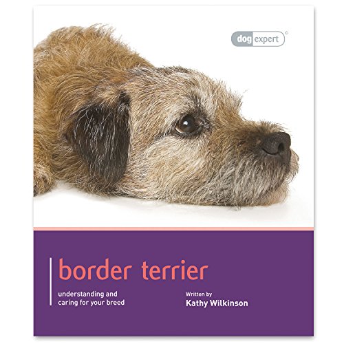 Stock image for Border Terrier for sale by Blackwell's