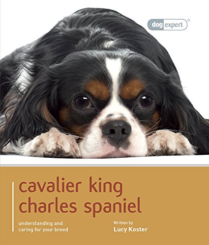 9781906305673: Cavalier King Charles Spaniel - Dog Expert