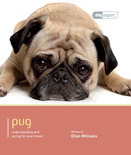 Beispielbild fr Pug - Dog Expert zum Verkauf von AwesomeBooks