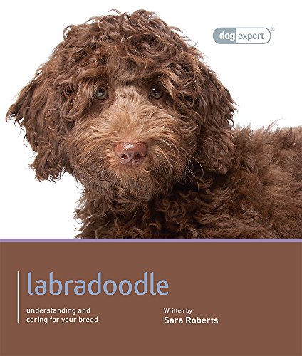 Beispielbild fr Labradoodle - Dog Expert zum Verkauf von WorldofBooks