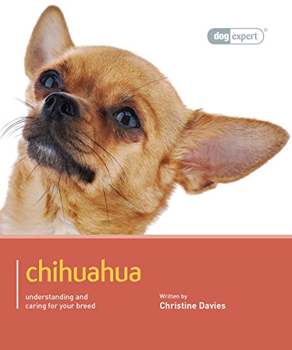 Imagen de archivo de Chihuahua: Chihuahua - Dog Expert a la venta por AwesomeBooks