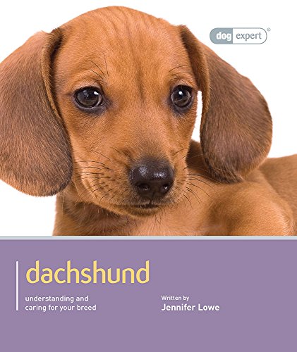 Beispielbild fr Dachshund - Dog Expert zum Verkauf von WorldofBooks