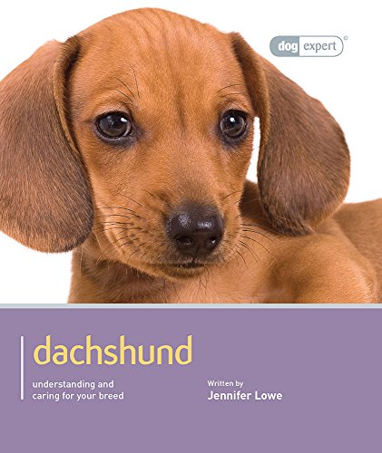 Stock image for Dachshund - Dog Expert for sale by WorldofBooks