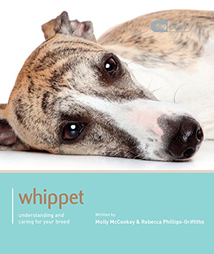 Imagen de archivo de Whippet - Dog Expert: Understanding and Caring for Your Breed a la venta por WorldofBooks