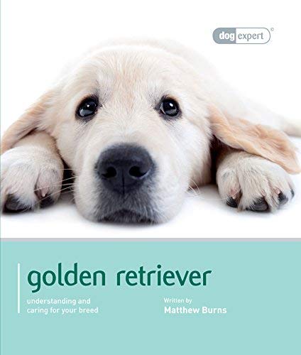 Beispielbild fr Golden Retriever - Dog Expert zum Verkauf von Reuseabook