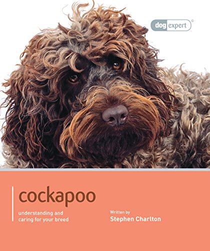 9781906305857: Cockapoo - Dog Expert