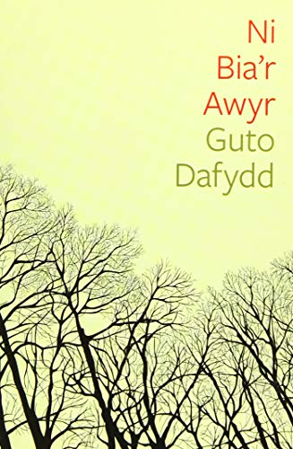 Beispielbild fr Ni Bia'r Awyr (Cyfres Tonfedd Heddiw) zum Verkauf von WorldofBooks