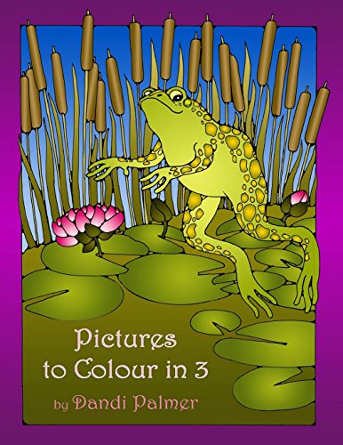 Stock image for Pictures to Colour In 3 for sale by Lucky's Textbooks