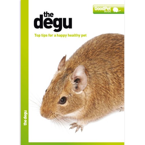 9781906492021: The Degu - Good Pet Guide