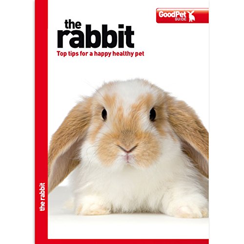 Stock image for The Rabbit - Good Pet Guide for sale by WorldofBooks