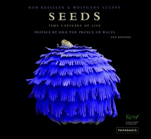 Imagen de archivo de Seeds: Time Capsules of Life a la venta por Holt Art Books