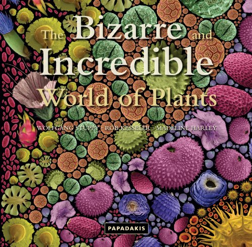 Imagen de archivo de Bizarre And Incredible World Of Plants, The a la venta por WorldofBooks