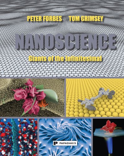 Beispielbild fr Nanoscience: Giants of the Infinitesimal zum Verkauf von WorldofBooks