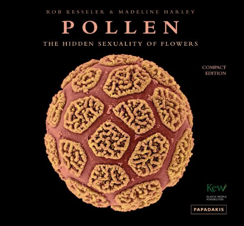 Imagen de archivo de Pollen: The Hidden Sexuality of Flowers (compact edition) a la venta por Monster Bookshop