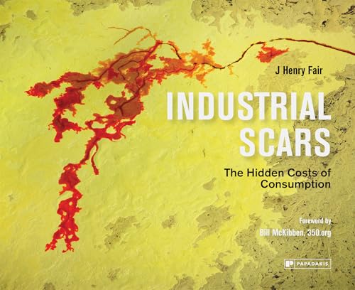 Stock image for Industrial Scars The Hidden Cost of Consumption for sale by PBShop.store UK