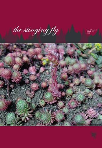 Stock image for The Stinging Fly: Summer: Issue 22 for sale by WorldofBooks