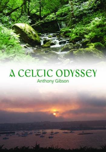 Imagen de archivo de A Celtic Odyssey a la venta por WorldofBooks