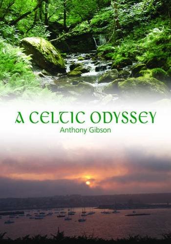 Stock image for A Celtic Odyssey for sale by WEST WESSEX BOOKS