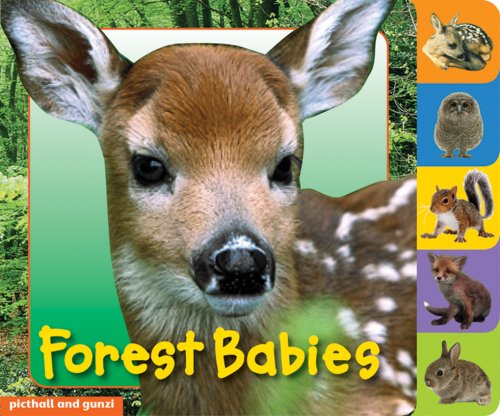 Beispielbild fr Forest Babies (Animal Tabs) zum Verkauf von MusicMagpie
