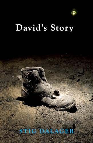 Stock image for David's Story: 1 for sale by WorldofBooks