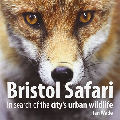 Stock image for Bristol Safari for sale by WorldofBooks