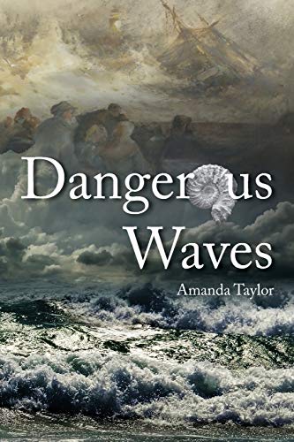 Beispielbild fr Dangerous Waves zum Verkauf von WorldofBooks