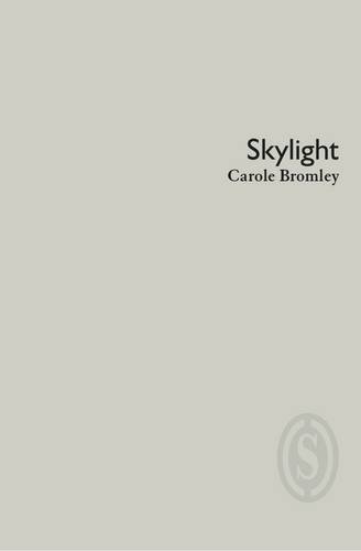 Beispielbild fr Skylight zum Verkauf von Blackwell's