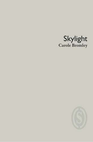 Imagen de archivo de Skylight a la venta por PBShop.store US