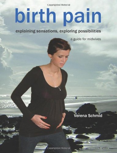 Beispielbild fr Birth Pain: Explaining Sensations, Exploring Possibilities zum Verkauf von AwesomeBooks