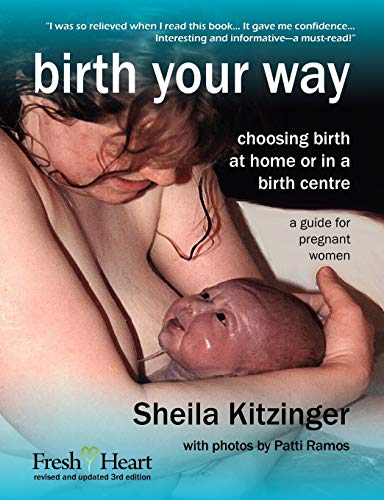 Beispielbild fr Birth Your Way: Choosing Birth at Home or in a Birth Centre zum Verkauf von Anybook.com