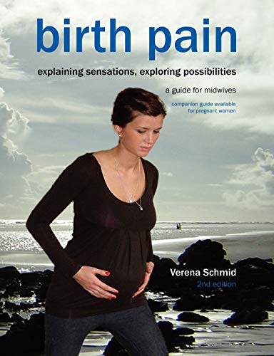 9781906619237: Birth Pain: Explaining Sensations, Exploring Possibilities (2nd Ed)