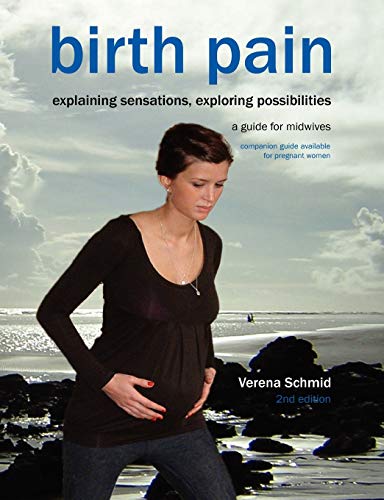 Imagen de archivo de Birth Pain: Explaining Sensations, Exploring Possibilities (2nd Ed) a la venta por AwesomeBooks