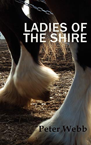 Imagen de archivo de Ladies of the Shire a la venta por WorldofBooks