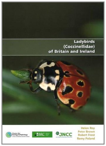 Beispielbild fr Ladybirds (Coccinellidae) of Britain and Ireland (Biological Records Centre) zum Verkauf von WorldofBooks