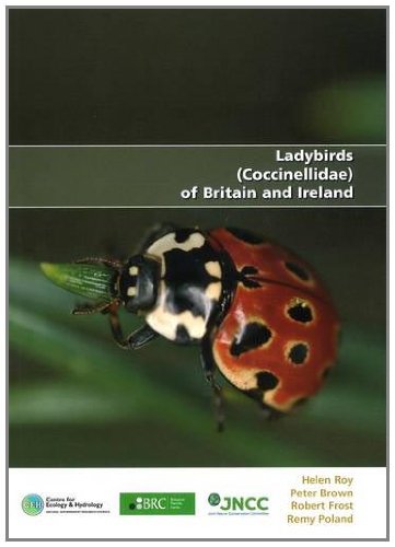 Ladybirds (Coccinellidae) of Britain and Ireland (9781906698201) by Roy, Helen