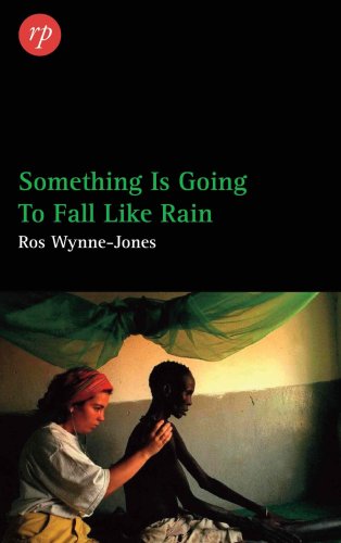 Imagen de archivo de Something is Going to Fall Like Rain a la venta por WorldofBooks