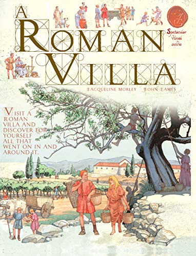 Imagen de archivo de A Roman Villa (Spectacular Visual Guides) a la venta por AwesomeBooks