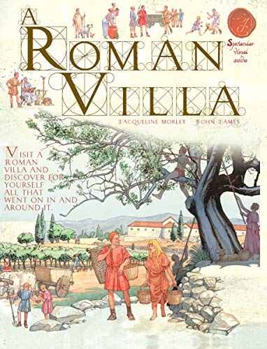 Stock image for A Roman Villa (Spectacular Visual Guides) for sale by AwesomeBooks